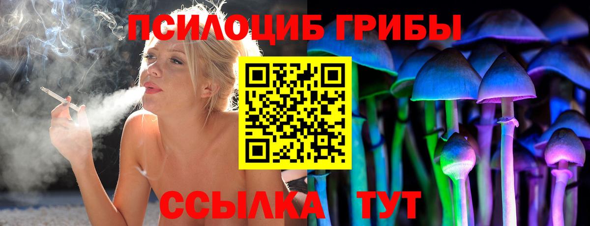 Псилоцибиновые грибы прущие грибы  Псилоцибиновые грибы Psilocybe  Анжеро-Судженск  Вход с VPN 